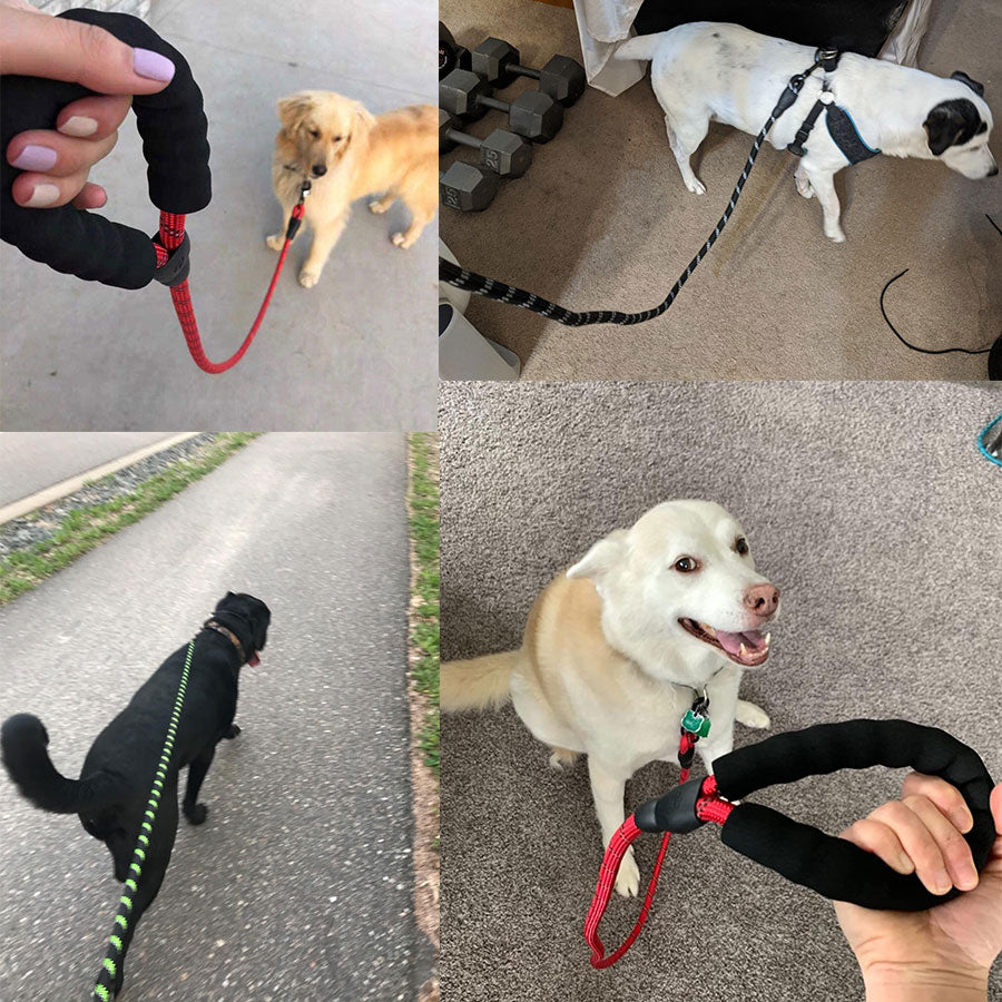 Small Medium Sized Pet Dog Luminous Leash Chain Puppies